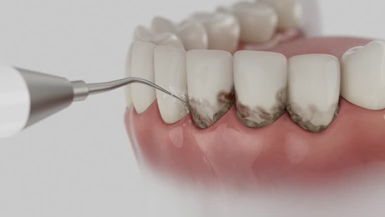 Reliable Dental contractor in Knollwood, IL by Dentist Open Now